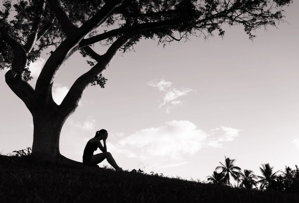 Silhouette of a person sitting contemplatively under a large tree at dusk.
